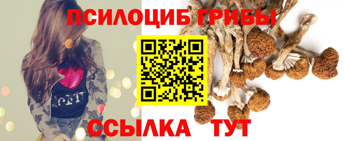 Галлюциногенные грибы Cubensis  Псилоцибиновые грибы Magic Shrooms  Люберцы  Вход с VPN 