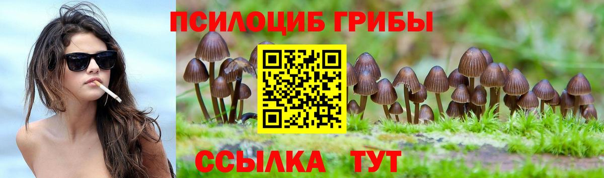 Псилоцибиновые грибы Cubensis Люберцы